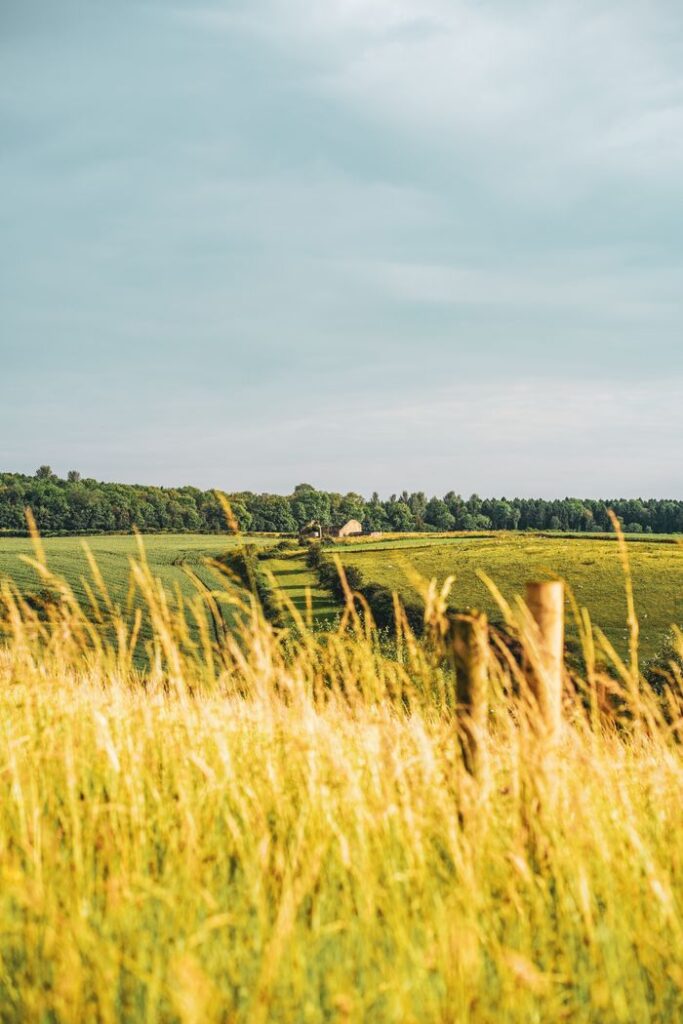 A scenic view of lush fields and rolling hills under a bright summer sky.